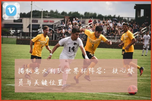 揭秘意大利队世界杯阵容:核心球员与关键位置