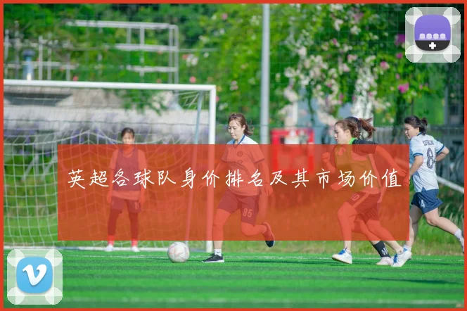 英超各球队身价排名及其市场价值