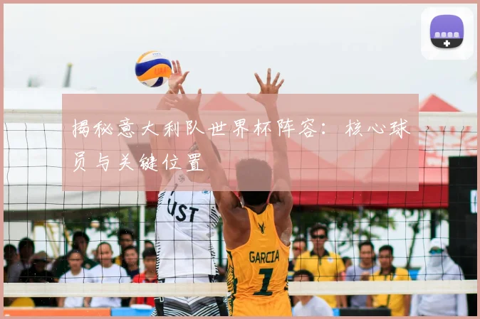 揭秘意大利队世界杯阵容:核心球员与关键位置