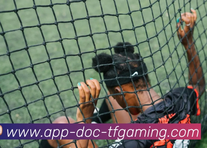 雷火电竞APP平台生态图